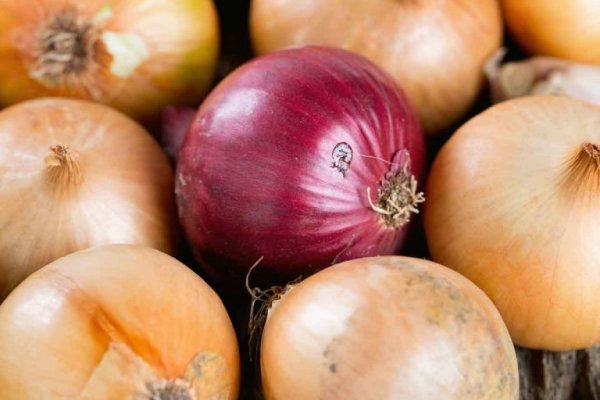 Кракен дарк сайт