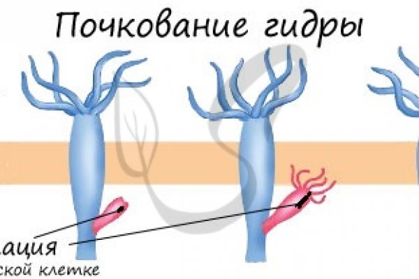 Кракен ссылка fo feng crmp ru