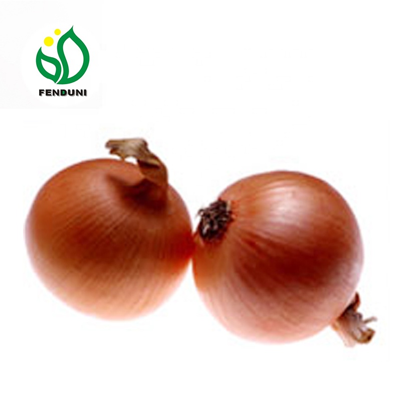 Рабочая ссылка на кракен в торе